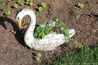 Swan-shaped outdoor decorative pump planter showing wear, dirt, and greenery inside.