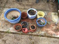 Collection of outdoor flower pots arranged on stone surface, showing sizes and wear.