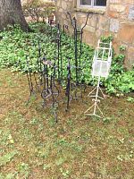 Photo showing six iron plant stands grouped outdoors on grass with some ground cover plants in background. Tallest stand about 51 inches.