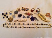 Full view of all jewelry laid out on a flat surface showing variety of rings, pins, brooches, and necklace.