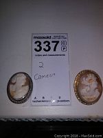 Photo showing both cameo brooches side by side with auction lot number card placed centrally