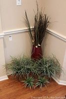 Corner shot showing large deep red vase with tall decorative reeds and five pots with artificial grass arranged around it.