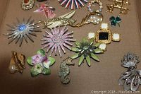 Top-down view of box holding various costume brooches featuring floral, animal, starburst and geometric designs on a brown cardboard base.