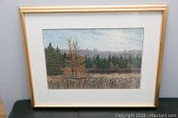 Front view of framed watercolor painting 'Autumn Tamaracks' on display