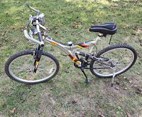 Image 1